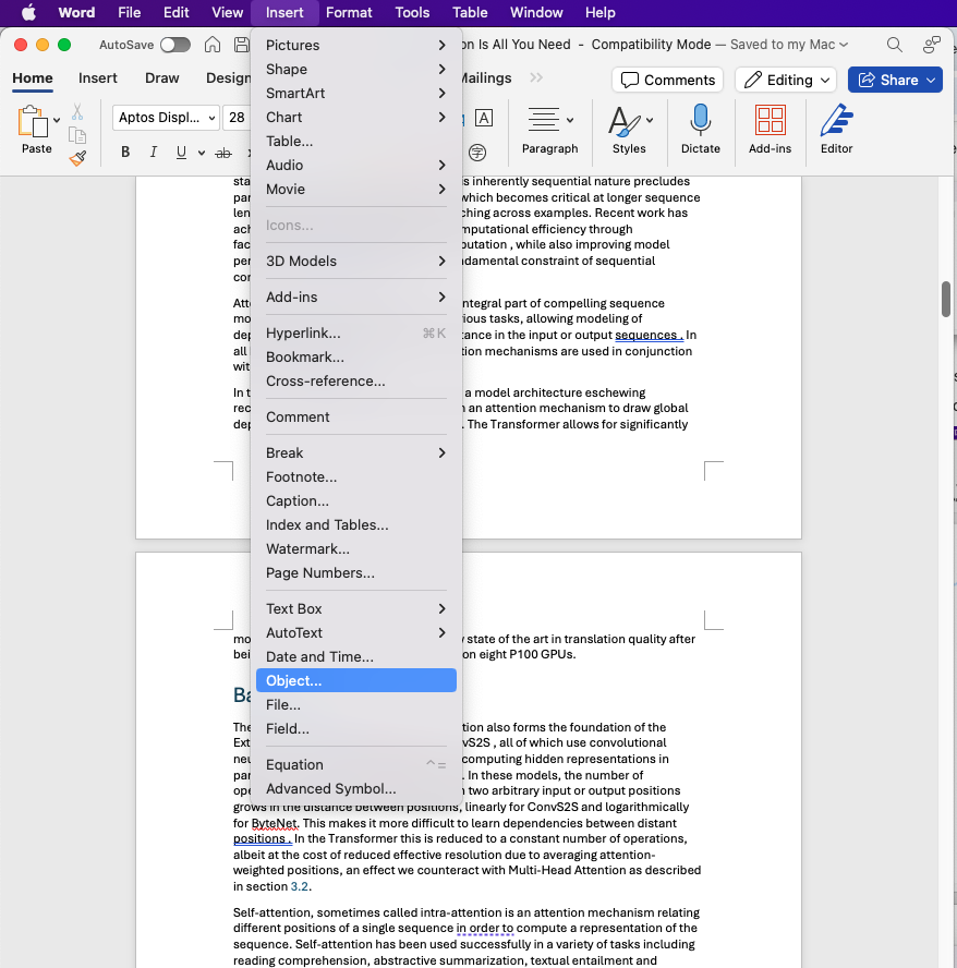MicrosoftWord_7